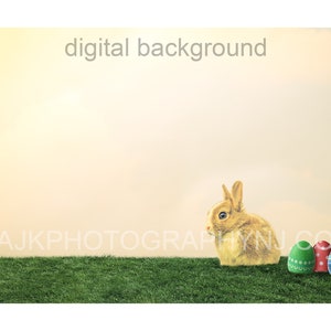 Easter bunny with Easter eggs in grassy field, Easter digital background