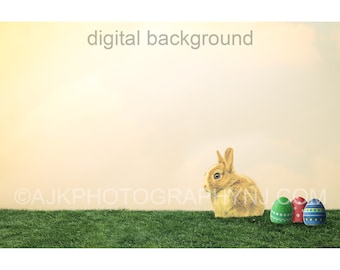 Easter bunny with Easter eggs in grassy field, Easter digital background