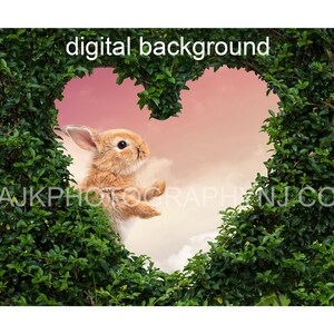 Easter bunny in heart shaped bush digital background