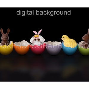 Easter digital background, chocolate bunnies and yellow chick inside cracked colored Easter eggs, black background, digital backdrop