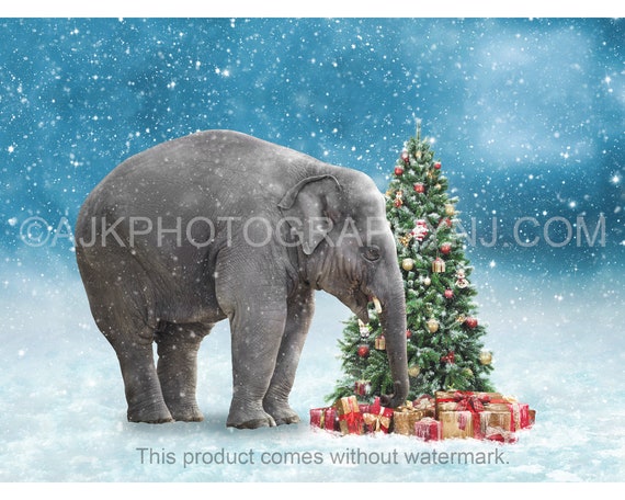 Verst Diagnostiseren Wissen Kerstmis digitale achtergrond olifant voor kerstboom - Etsy Nederland