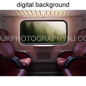 Può includere: Due sedili in pelle rossa si fronteggiano in un vagone ferroviario con una finestra che si affaccia su una foresta nebbiosa. Il testo "©AJKPHOTOGRAPHYNJ.COM" è visibile nell'immagine.