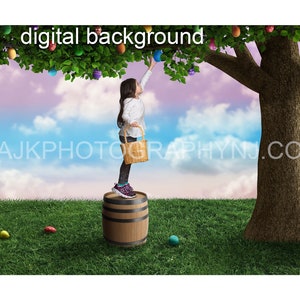 Easter egg tree digital background, giant Easter eggs in a large tree, wooden barrel, grassy field, digital backdrop