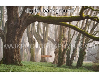 Digital background, a swing on a tree in the woods, forest swing set digital backdrop