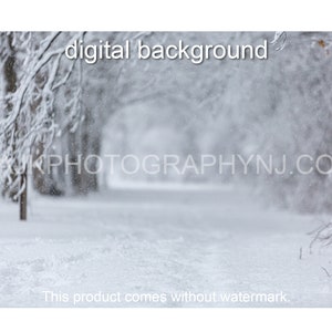 Winter digital background, snowy path in woods, digital backdrop