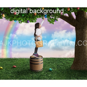 Easter egg tree digital background, giant Easter eggs in a large tree, wooden barrel, grassy field, rainbow in sky, digital backdrop