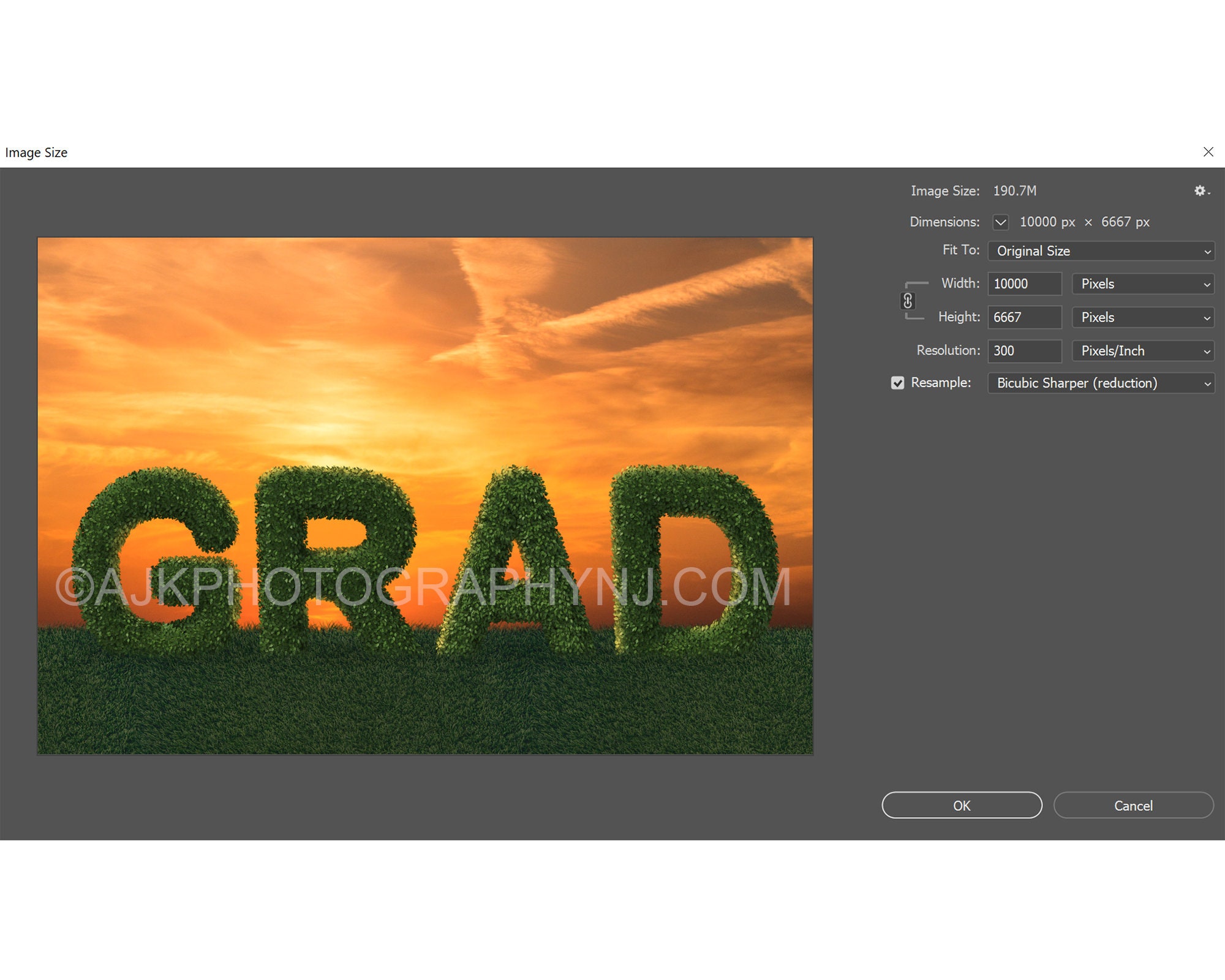 Graduation Digital Background, Bush Letters Spelling GRAD in Grassy ...