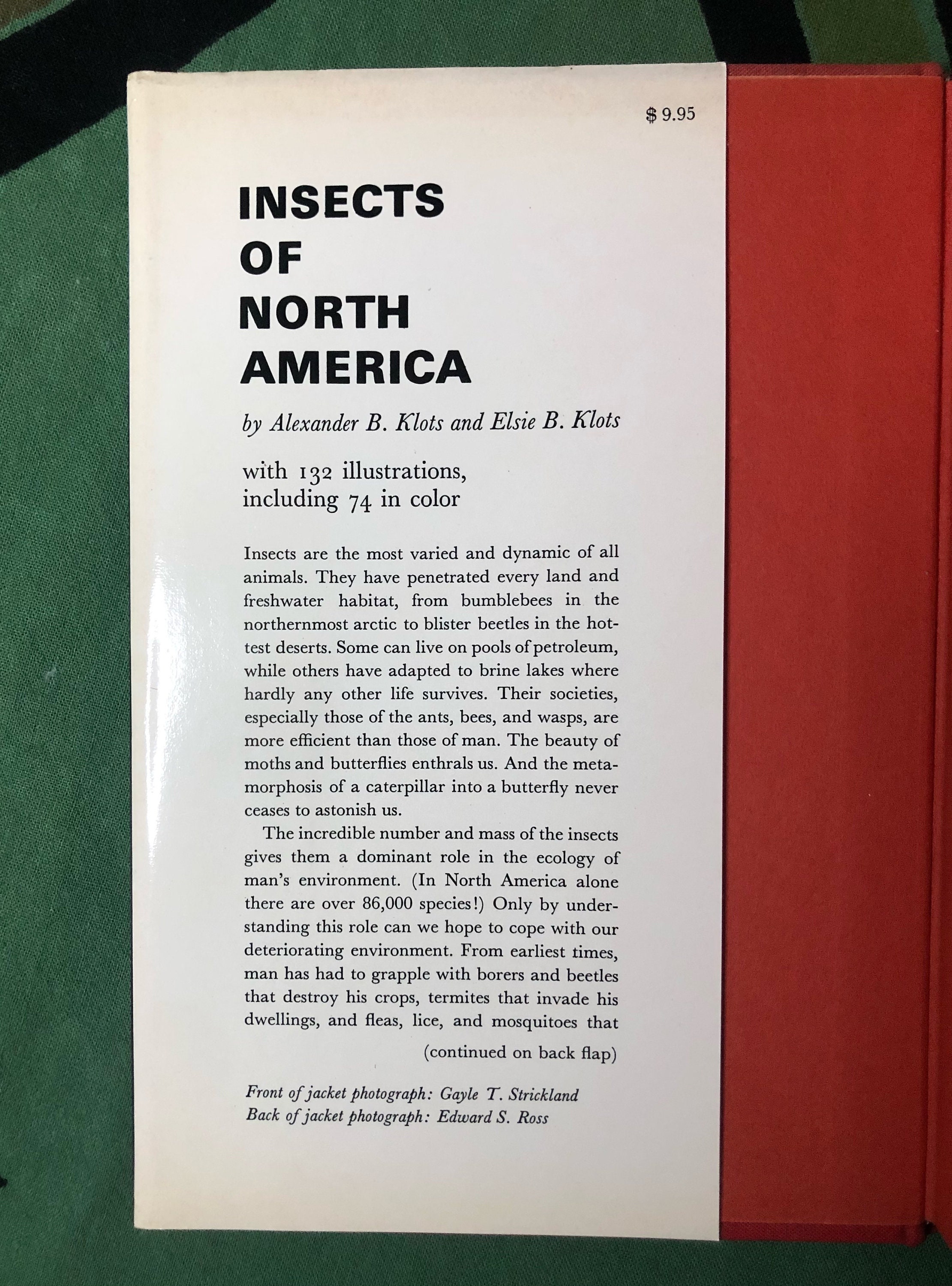 Insects of North America by Alexander and Elsie Klots Etsy