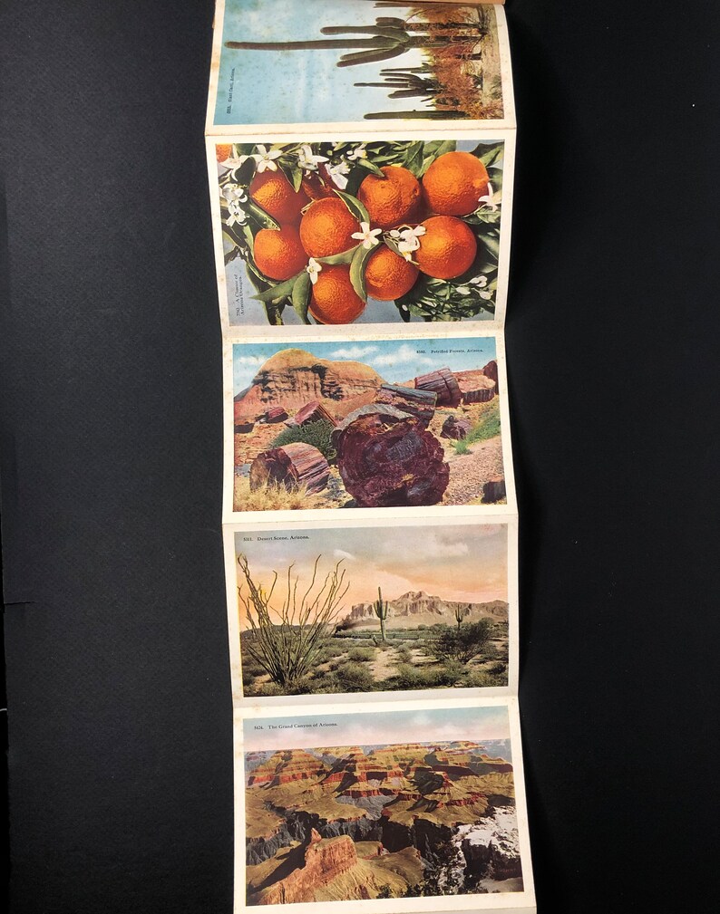 Phoenix Arizona Souvenir Folder Vintage Postcard Etsy