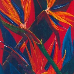 Bird of Paradise Flowers - Art Print -  with Orange Red Blue Colors