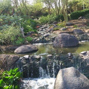 May include: A small waterfall cascades over rocks in a lush green garden setting. The water flows through a stream lined with large, smooth stones.