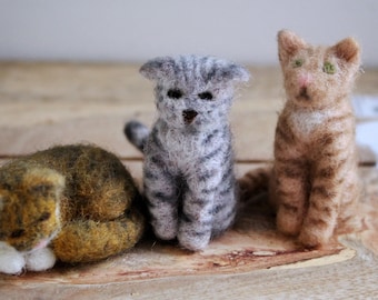 Naaldvilten kattenportret van wol - handgemaakt cadeau huisdierliefhebber - aangepast huisdierkunstwerk