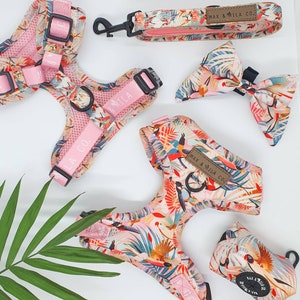 Paradise designer dog harness set