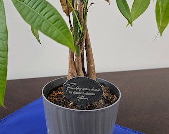 Custom Slate Plant Marker, Memorial Plant Label, Personalized Garden Marker, Planter Tag, Saying Plant Stake, Flower Pot Plaque, Plant Pick