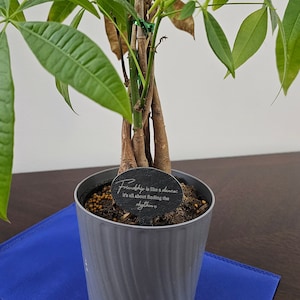 Custom Slate Plant Marker, Memorial Plant Label, Personalized Garden Marker, Planter Tag, Saying Plant Stake, Flower Pot Plaque, Plant Pick