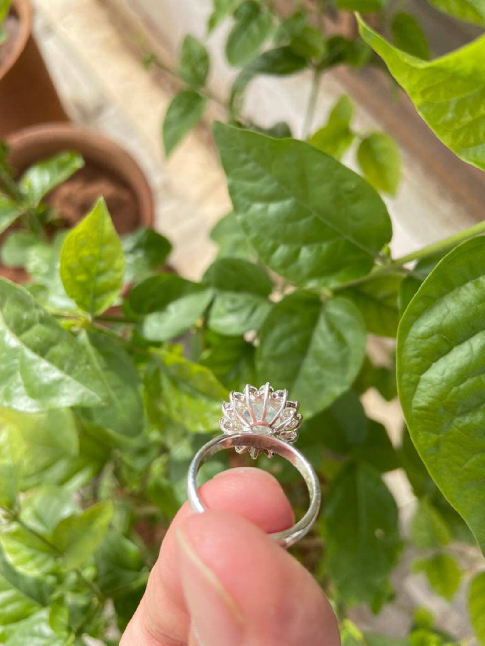Natural Moonstone and Zircon Open Ring main image 1