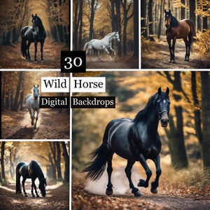 30 Wild Horse Digital Backdrops, Horse Maternity Backdrops , Wedding Backgrounds, Photography Background, Autumn Forest Backdrop