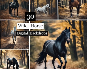 30 cyfrowych tła z dzikimi końmi, tła ciążowe z końmi, tła ślubne, tła fotograficzne, tło do jesiennego lasu