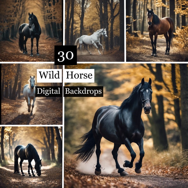 30 Wild Horse Digital Backdrops, Horse Maternity Backdrops , Wedding Backgrounds, Photography Background, Autumn Forest Backdrop