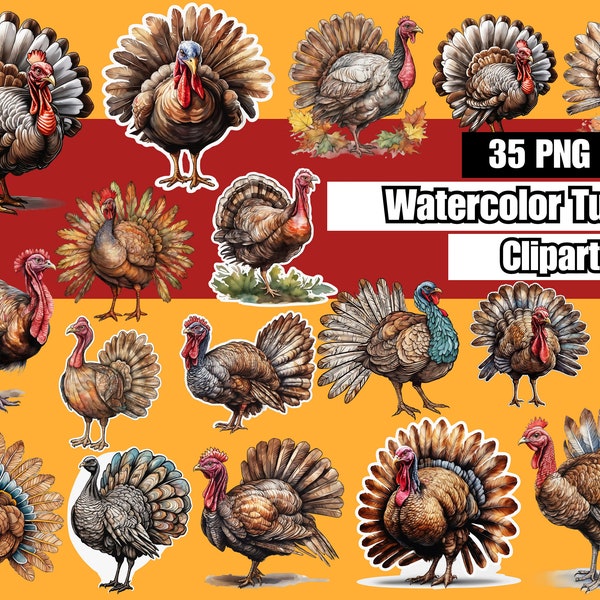 35 Turkey Clipart , Turkey Digital Clipart , Thanksgiving clipart , watercolor turkey clipart , png clipart , turkey digital stickers,