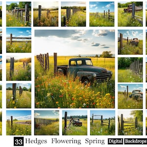 May include: A collage of 33 images featuring a vintage green pickup truck parked in a field of wildflowers with a wooden fence. The images are arranged in a grid pattern and show the truck from different angles and perspectives. The images are all taken in a rural setting and capture the beauty of nature.