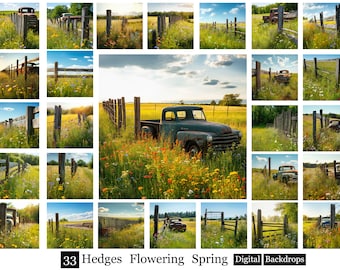 33 Hedges Flowering Spring Backdrops, Country fence Backgrounds,Flowing photography backdrops,Spring Backdrop,Nostalgic Weathered background