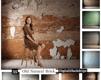 35 Old Natural Brick Backdrops, Brick Wall Digital Backdrops,Brick Wall Photography,Brick Texture,Brick Studio backdrops,old plastered wall