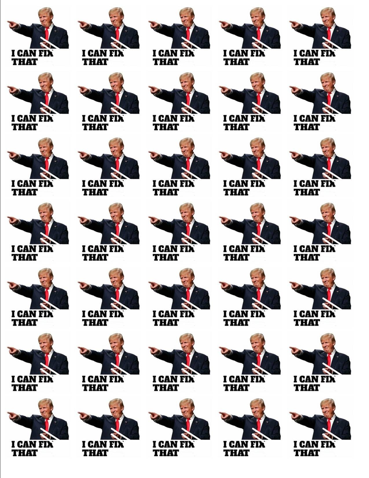 TRUMP, I Can Fix That! Stickers - Etsy