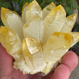 Yellow citrine  Aura Quartz Crystal Cluster/Angel Aura Quartz Cluster Titanium Crystal Healing Crystal free standing 384g