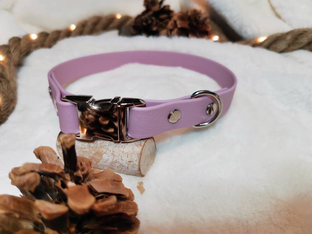 Collier Pour Chien en Biothane Lavande