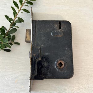 May include: A vintage black metal door lock with a rectangular body and a square keyhole. The lock has a brass-colored latch and a decorative edge. A sprig of green leaves is in the upper left corner.