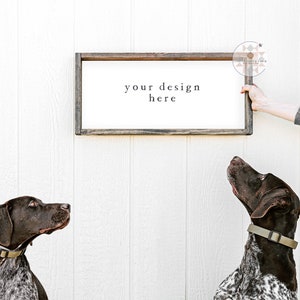 May include: A rectangular wooden sign with the text "your design here" is held by a person. Two German Shorthaired Pointers with brown and white speckled coats and collars look up at the sign. The background is a white wooden wall.