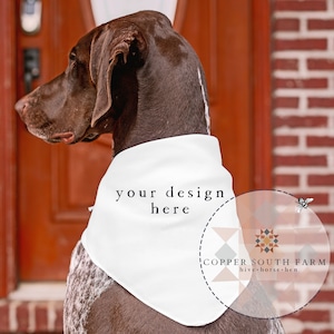 Fabric Mockup | Dog Bandana Scene | Farmhouse Mockups | JPEG Styled Stock Photos