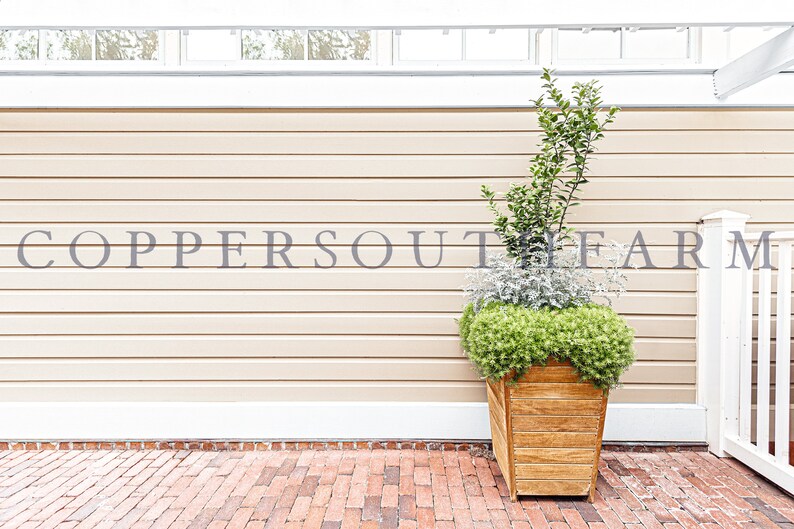 Blank Exterior Wall Mockup With Tall Floral Arrangement Etsy