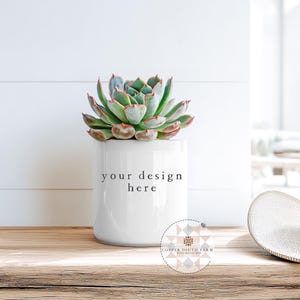 Könnte beinhalten: Ein weißer Keramik-Pflanztopf mit dem Text "your design here" enthält eine Sukkulentenpflanze mit grünen und rot gefärbten Blättern. Ein Cowboyhut aus Stroh liegt auf einer Holzoberfläche. Der Hintergrund ist eine weiße Wand.