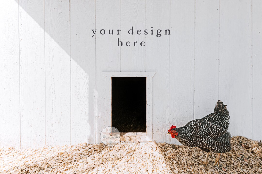Blank Wall Mockup Farmhouse Chicken Coop Scene White Wood Backdrop - Etsy