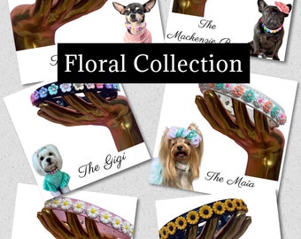 COLLECTIONS Glam Collar, Dog Accessories, Pet Accessories, Dog Collar, Gem Collar, Diamond Collar, Dog Jewelry, Dog Gifts, French Bulldog,