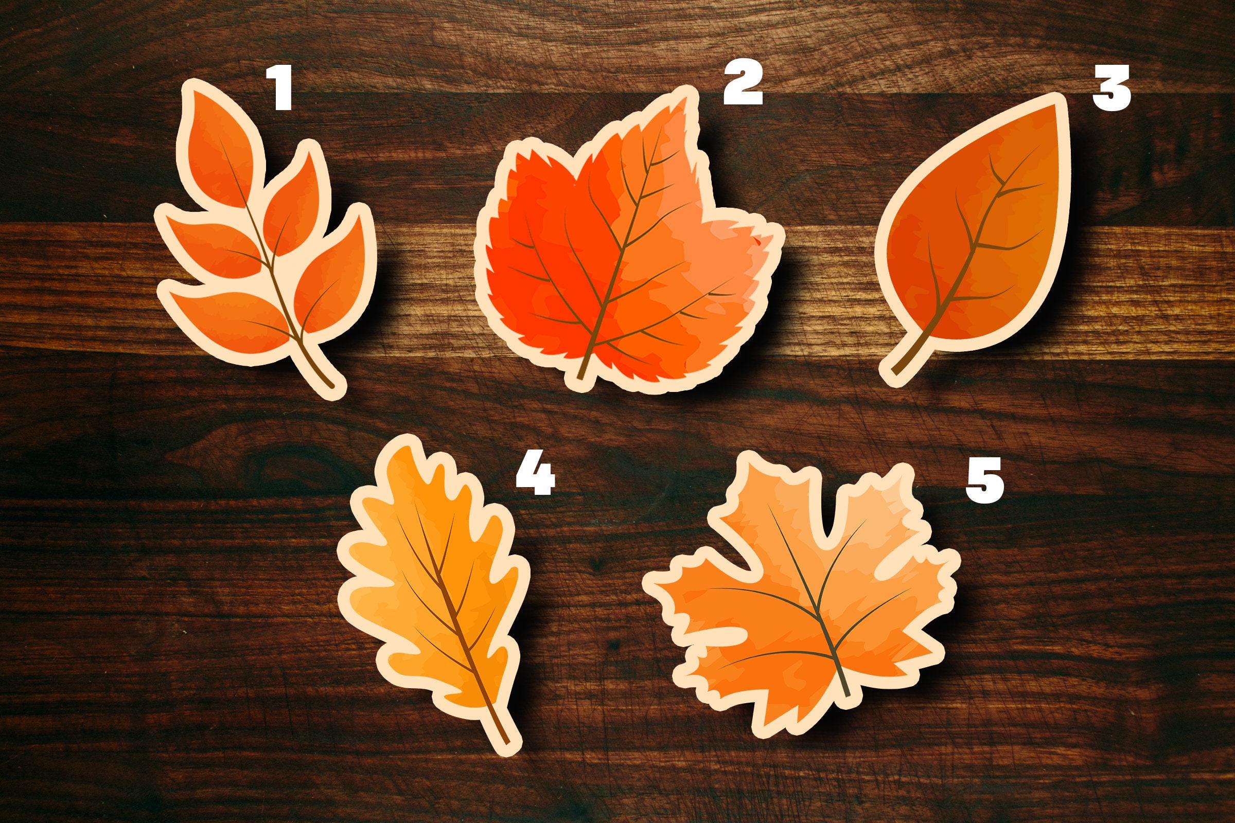 Emporte-pièces D'automne - 5 Formes Feuille D'érable, Chêne, Citrouille - Acier Inoxydable - Pour Biscuits Halloween Thanksgiving - 4