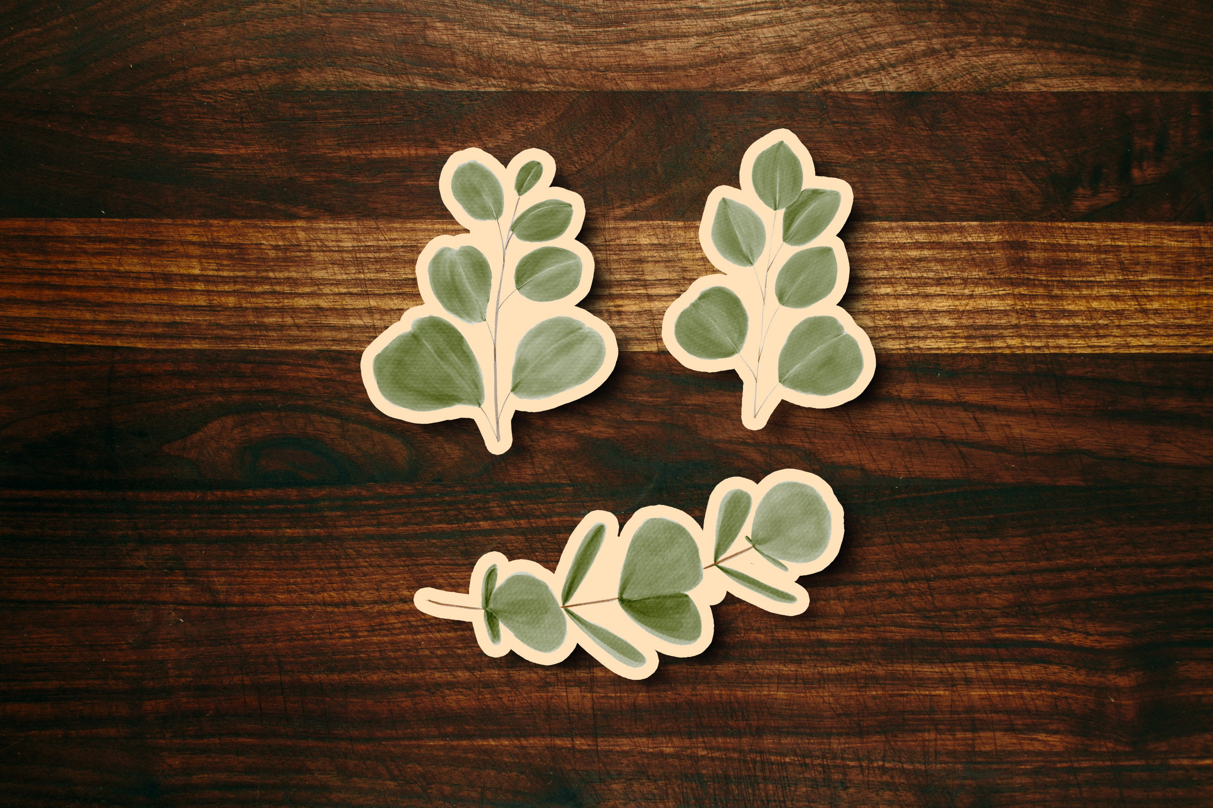 Eucalyptus Leaf Cookie Cutter Set of 3