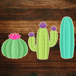 Cactus Cookie Cutter Set of 3