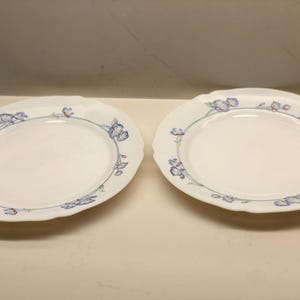 Arcopal plates - Etsy 日本