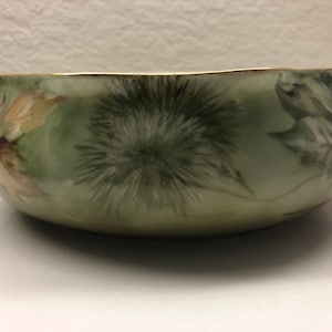 antique  count thun (TK) czechoslovakia hand painted bowl rare Porcelain Lusterw