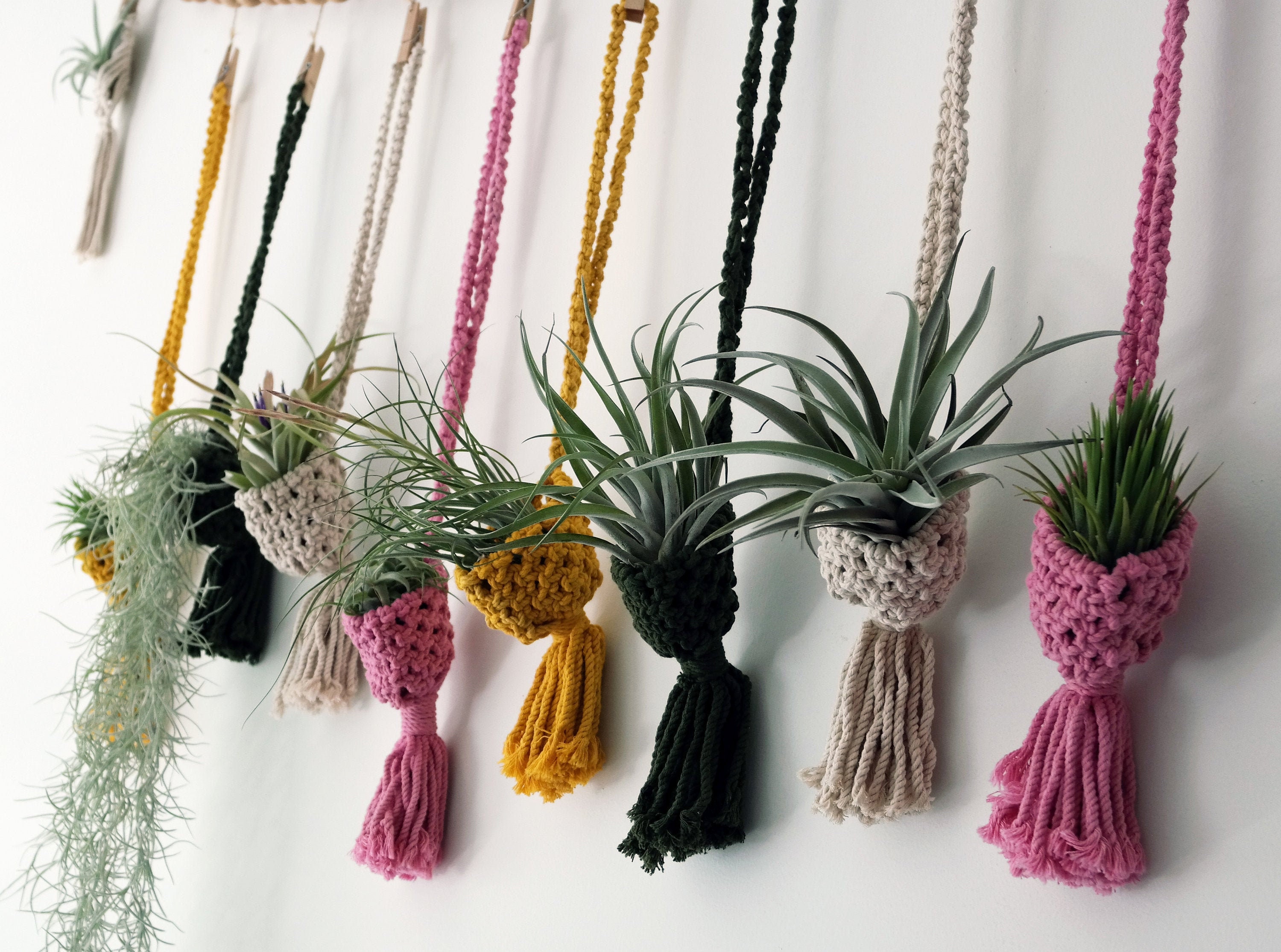 Air Plant Pattern Towel from MBMB – The Boho Depot