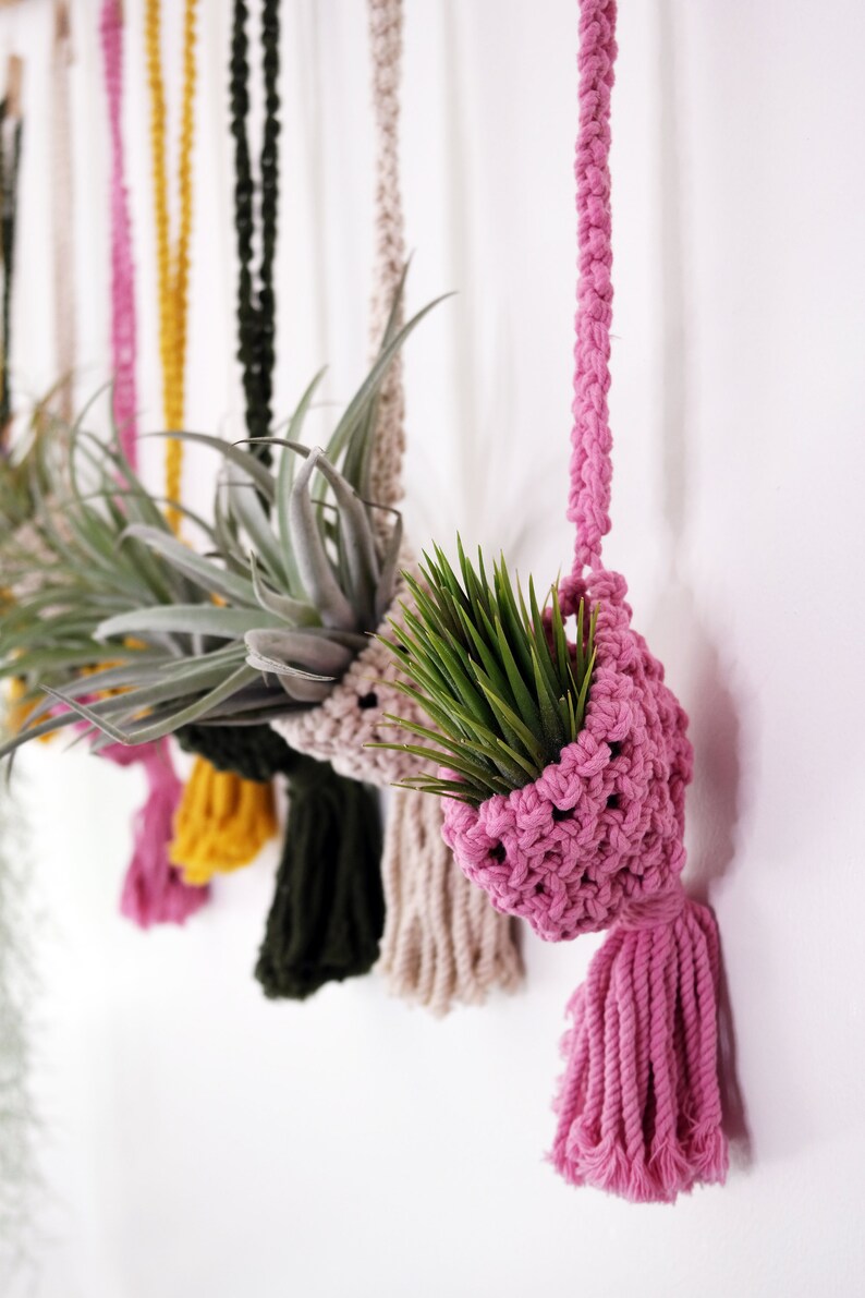 Colorful Crochet Pod Hanging Planter for Air Plants Etsy