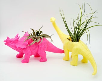 Dinosaur Air Plant Holders .+*+.  Rainbow of Colors! Trending Now | Brachiosaurus & Triceratops Options | Air Plants/Potted Plants!