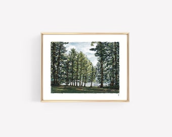 COAN POND | New York | Upstate New York | Pond and Pinetrees  | Original, Landscape Giclée Print