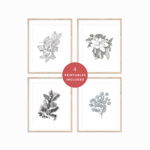 May include: Set of four printable botanical illustrations featuring black and white line drawings of various plants and flowers. The illustrations are framed in a simple, light wood frame.