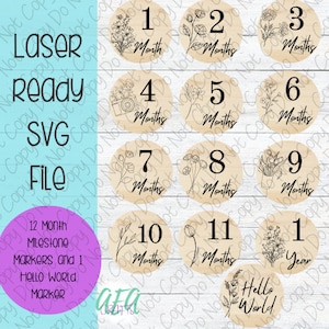 FILE DIGITALE - File laser - Indicatori di pietre miliari mensili - Indicatori mensili per bambini - Indicatori di pietre miliari Wildflower - SVG - Glowforge - Indicatori del mese