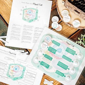 May include: A green and white illustrated diagram of a plant cell with labels for the different parts of the cell. The diagram is surrounded by white circles with labels for the different parts of the cell. The diagram is on a wooden table.