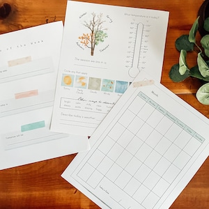 May include: A printable worksheet for tracking the days of the week, weather, and a monthly calendar. The worksheet includes a thermometer, a tree with four seasons, and a section for describing the weather.